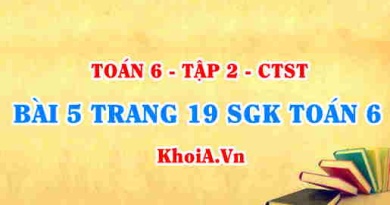 Bài 5 trang 18 SGK Toán 6 Tập 2 Chân trời sáng tạo